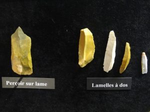 Collections archéologiques du Paléosite