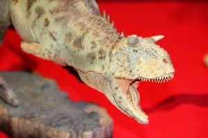 Exposition temporaire Dinosaures
