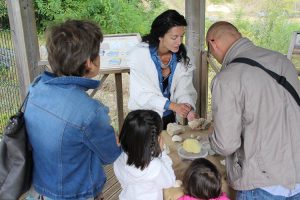 Atelier de découverte de fossiles de Saint-Césaire