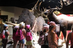 Hall du Paléosite exposition de reconstitution d'animaux préhistoriques