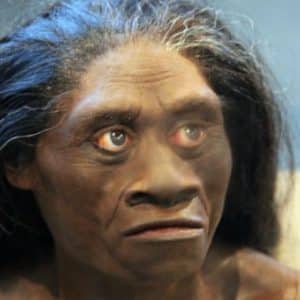 Homme de Flores - conference - Paleosite