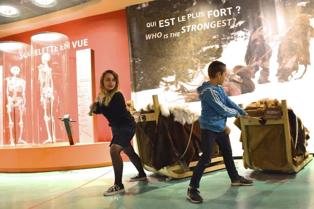 salle Morpho-paleosite-neandertal-force-traineau Salle morpho
